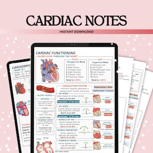 Appunti di infermieristica cardiaca Studio Bundle 25 argomenti 16 fogli, Guida allo studio delle malattie cardiache, Sistema cardiovascolare, Ritmo ECG cardiaco, PDF