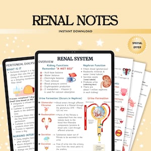 Può includere: Un diagramma colorato che illustra il sistema renale, con particolare attenzione alle funzioni renali e alla funzione dei nefroni. Il diagramma include una rappresentazione visiva del nefrone, evidenziando i processi di filtrazione, riassorbimento, secrezione ed escrezione. Il testo include l'acronimo "WET BED" per aiutare a ricordare le funzioni chiave dei reni.