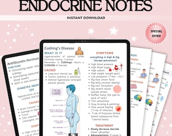 Guia de Estudo de Enfermagem Endócrina: Distúrbios Sistêmicos, Hormônios (PDF)