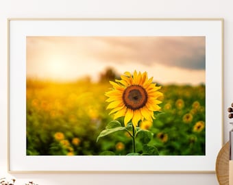 Sunflower Photo, Sunflower Art, Rustic Sunflower Picture, Farmhouse Photography, Nature Botanical Digital Art Print,