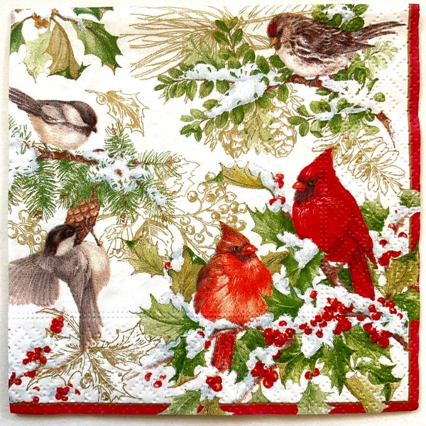 4 or 8 Winter Birds Decoupage Napkins Christmas Caspari Paper Cocktail Size  Cardinals Doves Chickadees Snow Birds