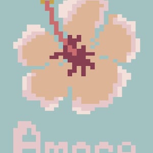 May include: Pixelated illustration of a hibiscus flower in shades of peach, pink, and burgundy, set against a light blue background. The word "Amore" is written in pink block letters below the flower.
