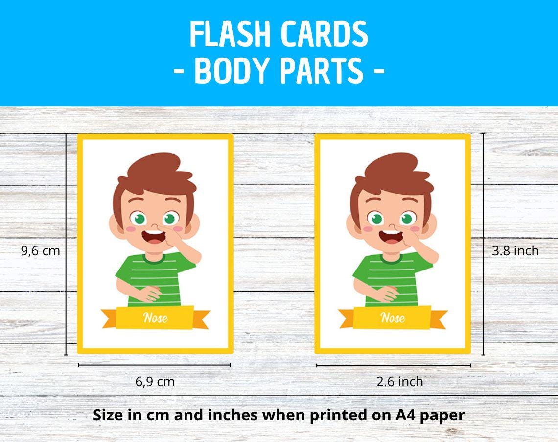 Body Parts Flash Cards for Kids - 20 Educational Cards for Learning ...