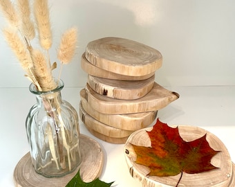 Birch wood tree disc