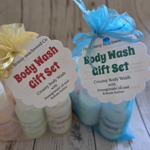 Body Wash Gift Set: 5 Travel Size Samples