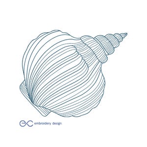 Sea Shell Embroidery Design, Machine Embroidery Design, 8 Sizes, Instant Download