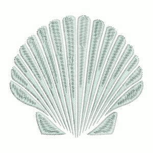 Sea Shell Embroidery Design, 3 Sizes, Instant Download, Machine ...