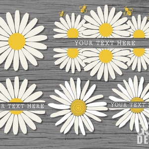May include: A digital graphic design featuring a wood background with white daisies and yellow centers. The daisies are arranged in a pattern with the text "YOUR TEXT HERE" in the center. The graphic is perfect for creating custom designs for invitations, cards, and other projects.