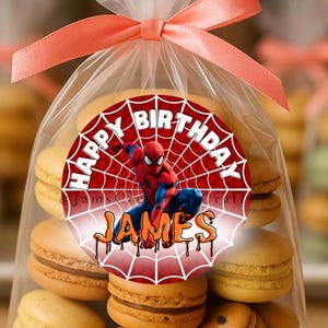 Gepersonaliseerde verjaardagsstickers | Superheldenfeestbedankjes (set van 12)