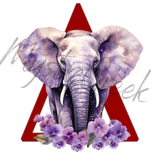 Delta Omega Theta Sorority Inc Griechisch Buchstabe African Violet 1913 Elefant D9 Griechisch Transparent PNG Digital Download