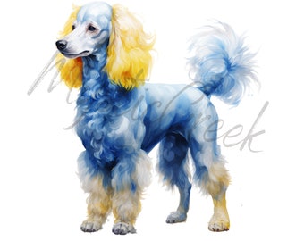 Frauen Blau Gold schön Pigment IGga Rho Pudel Aquarell Transparente PNG Digitalbild Download