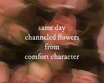 Same Day Channeled Flowers From Comfort Character