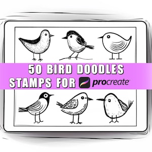 May include: A digital art image featuring six black and white bird doodles. A pink banner across the image reads "50 BIRD DOODLES STAMPS FOR Procreate". The birds are in various poses, with detailed feather and wing designs.