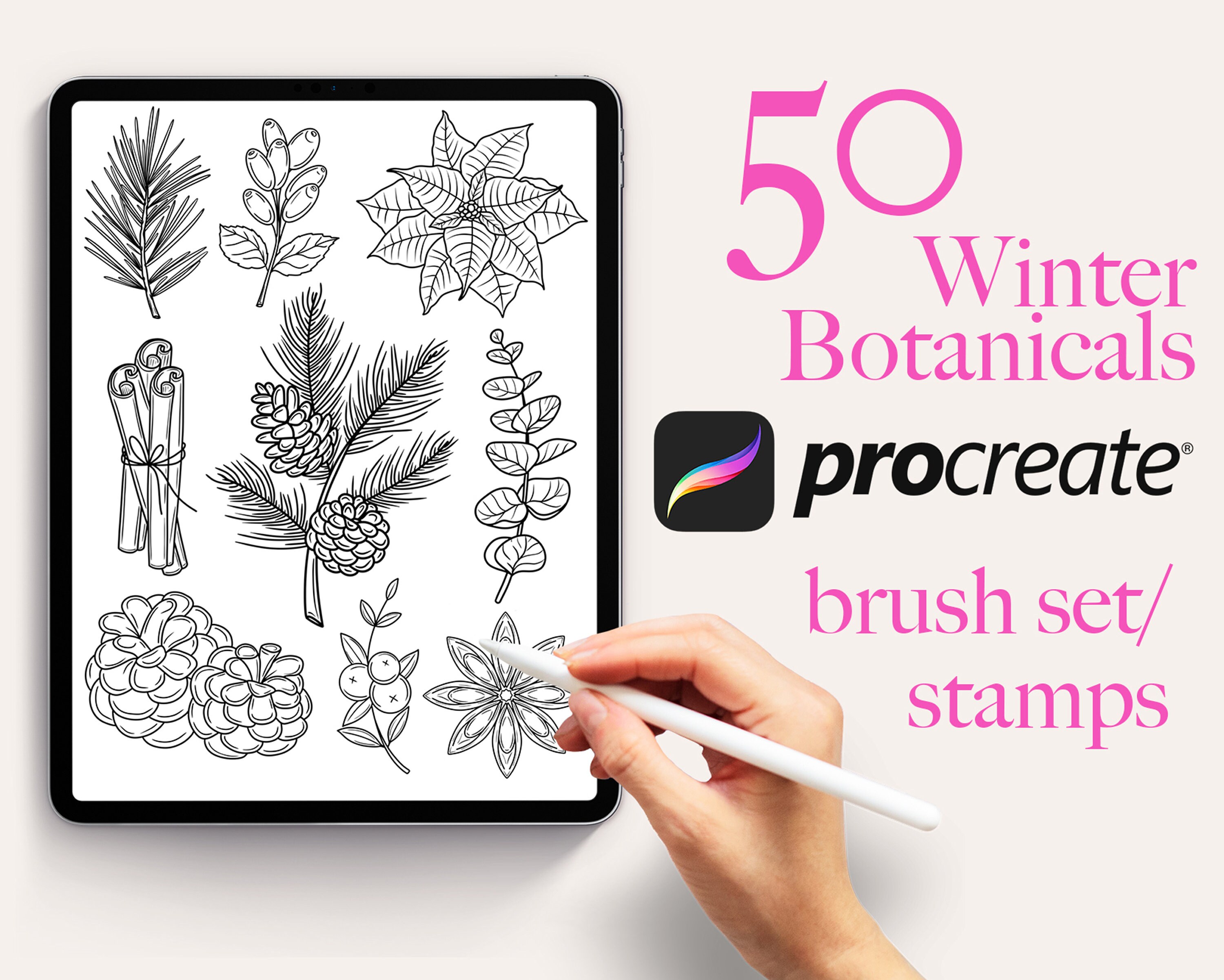 50 Winter Botanicals Procreate Stamps Winter Plants - Etsy