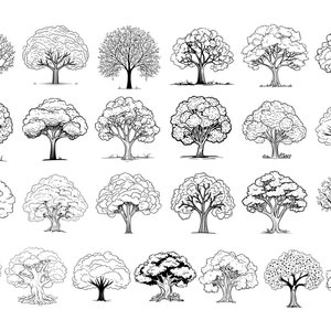 50 Tree Procreate Stamps Brushes | Procreate Landscape | Procreate ...
