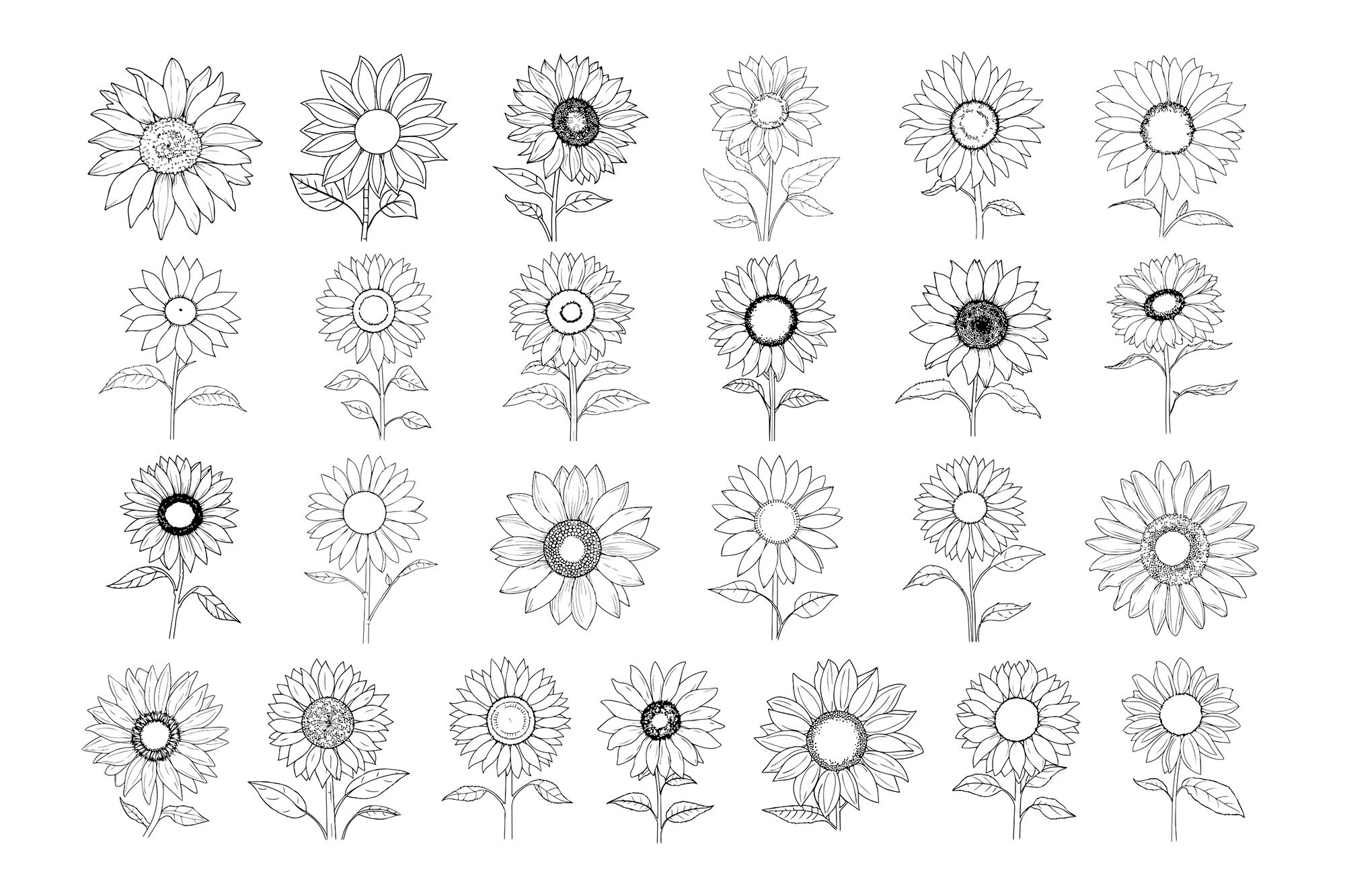 50 Sunflower Procreate Stamps | Flower Procreate Stamps | Sunflower ...