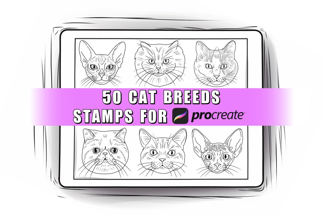 50 Cat Breeds Procreate Stamps | Cats Procreate Brushes| Cats Stamps ...