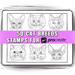 50 races de chats, timbres procréation | Brosses de procréation pour chats| Timbres de chats | Tatouage de chat | Tampons de procréation Cat Breeds l Races de chats l iPad