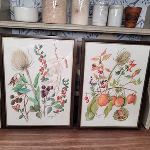 Beautiful Harvest Botanical Original Signed Watercolours, Watercolour Painting,  Vintage Art