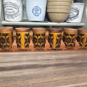 1970s Hornsea Spice Jar Pots and Wooden Rack, Vintage Kitchenalia, Spice Jars