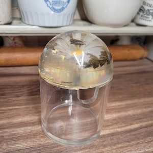 May include: A clear glass jar with a round lid. The lid is filled with a white daisy and a brown leaf. The jar is sitting on a wooden surface.