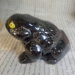 May include: A black ceramic frog figurine with a yellow eye. The frog has a speckled, textured surface and is sitting on a white background.