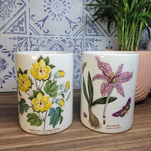 Può includere: Due tazze in ceramica bianca con illustrazioni botaniche. La tazza a sinistra presenta un fiore giallo con foglie verdi e il testo "Gossypium Barbadense Barbados Cotton Flower". La tazza a destra presenta un fiore rosa con foglie verdi e il testo "Colchicum Meadow Saffron".