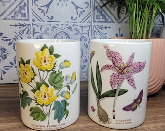 Pair of Portmeirion Botanical Ceramic Jars,  Botany Theme, Vintage Portmeirion,  Kitchenalia