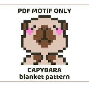 Motiv av kapybarafilt PDF: Stickmönster för grovt garn