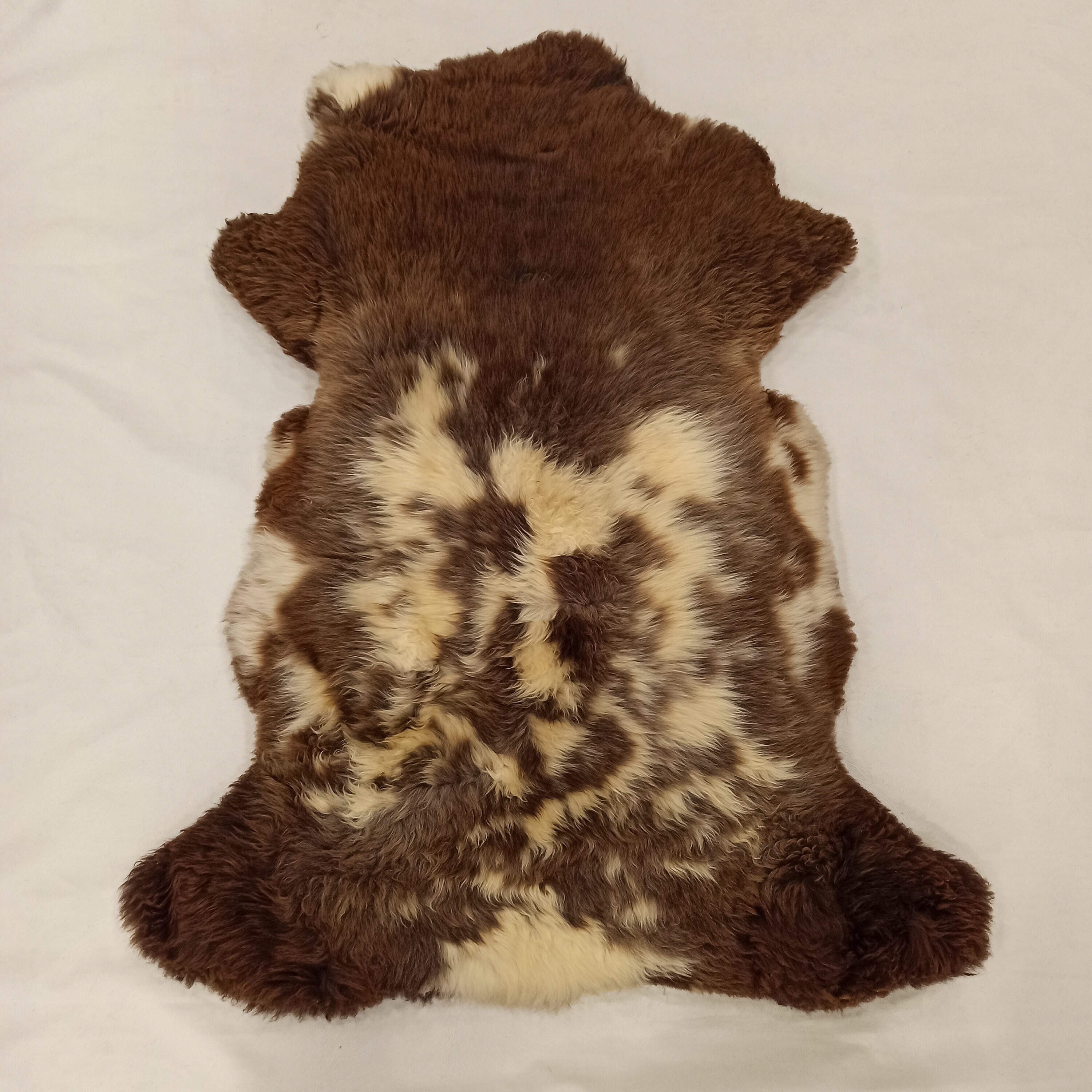 Beautiful Cream Brown Genuine Sheepskin Rug Natural Human Etsy