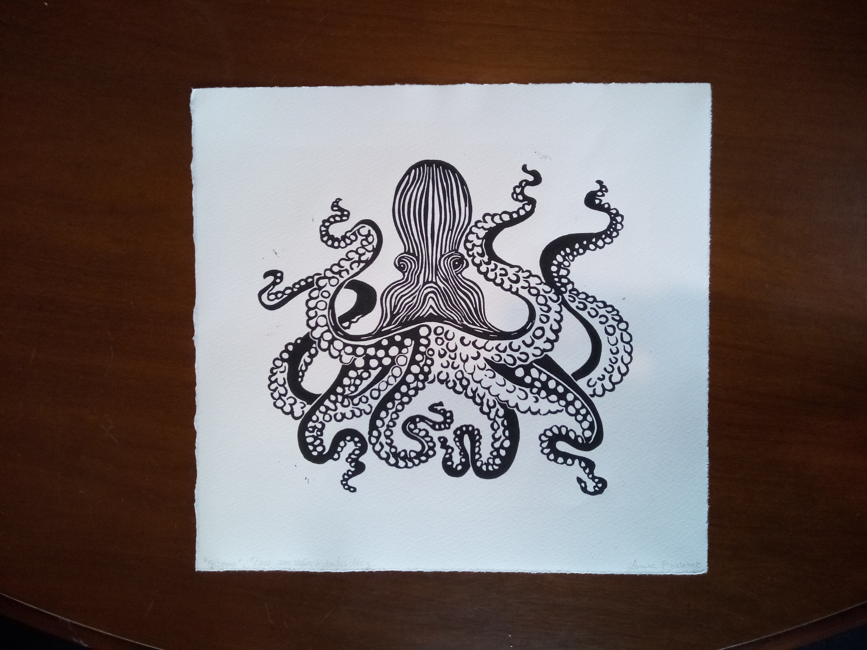 Linogravure Poulpe/Linocut Octopus