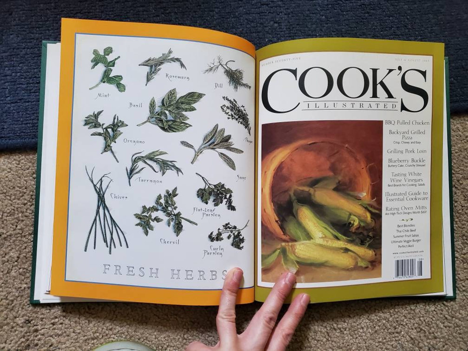 Cooks Illustrated 2005 Hard Back Book Etsy