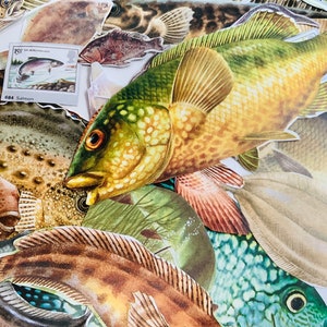 40 Vintage Fish Fussy Cut Images, Colour Illustrations, Junk Journal,  Scrapbook Ephemera, Collage, Glue Book, Craft, Card Making 