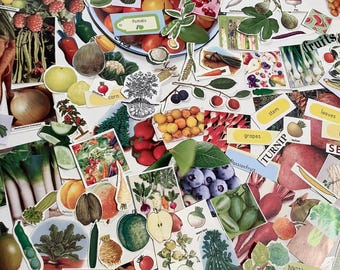 50 piece Vintage Fruit & Vegetable Ephemera Pack: Scrapbook Junk Journal Kit