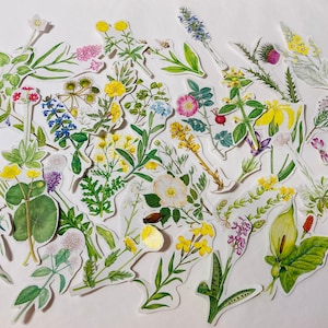 50 Stück vintage florale gemischte handgeschnittene wählerische Schnitte, Blumenausschnitte, Junk Journal, Scrapbook, Klebebuch Ephemera, Kartenherstellung