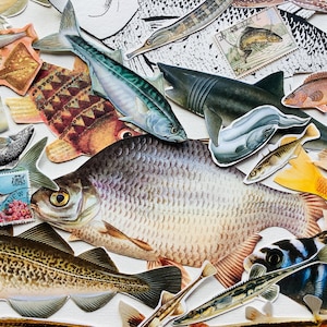 40 poissons et plantes aquatiques découpés en papier vintage, illustrations, journal indésirable, album éphémère de scrapbooking, collage, livre de colle, travaux manuels, fabrication de cartes