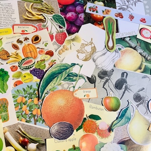 Vintage groenten en fruit 40-delig papier ephemera pack, plakboek, junk journal kit, kinderambachten, collage, plakboekbenodigdheden