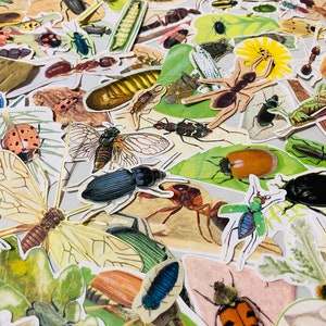 40-delige vintage insecten kieskeurig gesneden junk-dagboekkit, ephemera plakboek, lijmboek, papier collagebenodigdheden, natuurambachten voor kinderen