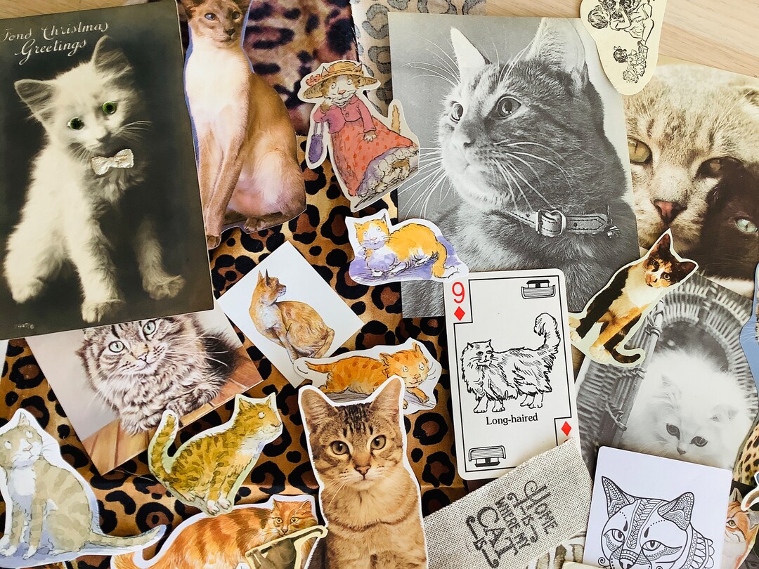 Vintage Cat Ephemera Pack: Kitten Scrapbooking Kit - Etsy UK
