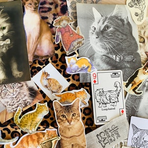 Pacchetto di ispirazione per diari spazzatura con gatti e gattini vintage, kit per scrapbooking da 25 o 50 pezzi, carte per libri di colla, collage di tecniche miste