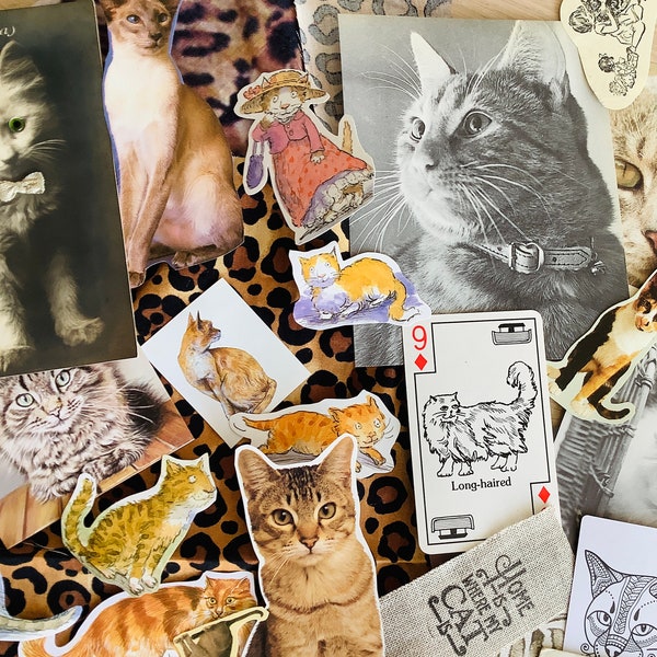 Vintage cats and  kittens junk journal inspiration pack, 25 or 50 piece scrapbooking kit, glue book papers, mixed media collage