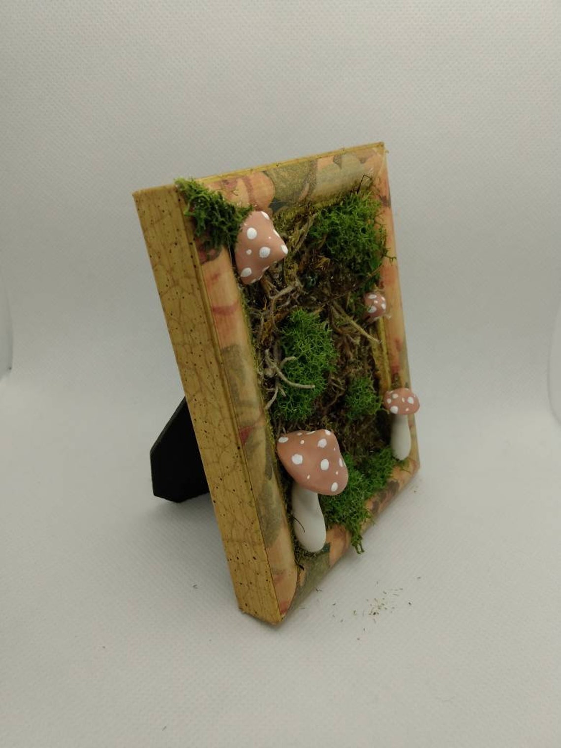 Terrarium Picture Frame Moss and Mushroom Decor Fairycore Etsy