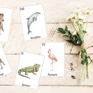 French Alphabet Flash Cards Printable - French A-Z Flashcards - Wildlife Flash Cards French - Homeschool Flash Cards PDF - Homeschool French