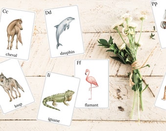 French Alphabet Flash Cards Printable - French A-Z Flashcards - Wildlife Flash Cards French - Homeschool Flash Cards PDF - Homeschool French