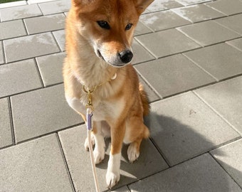 Ensemble laisse et collier pour chien violet crème pour grands et petits chiens