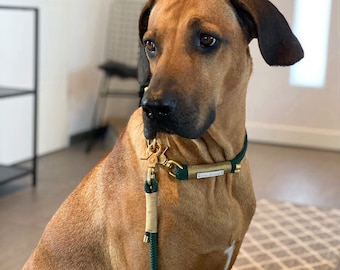 Hundeleine und Halsband Set Grün für große und kleine Hunde
