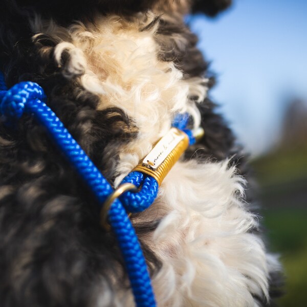 Moxon leash | Retrieverleine "Zeal" in blue dew with golden leather wrapping and gold carabiner - different sizes