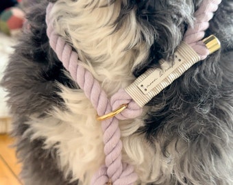 Laisse de retriever en coton rose - collier et laisse réglables en un