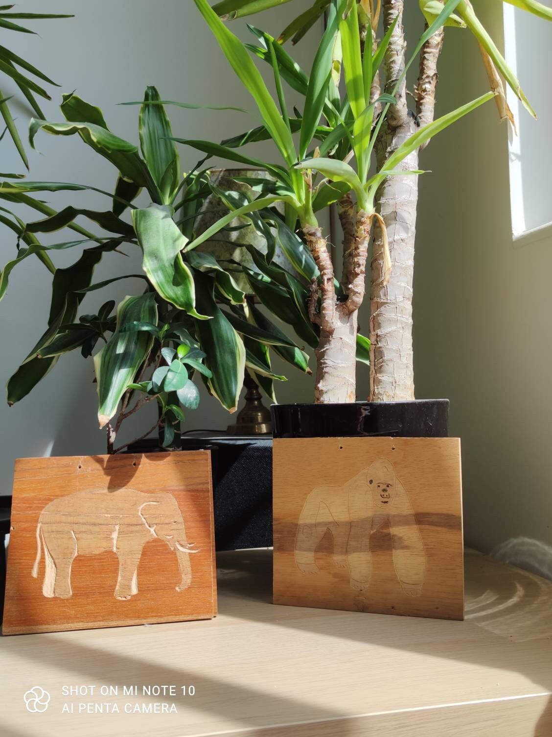 Tableau Unique , Livre Bois Gravé à La Main 100% Fait en Alsace