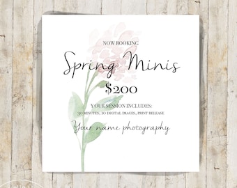 Photography Marketing Board, Mini Session Template, Photoshop, Social Media, Advertisement, Photographer